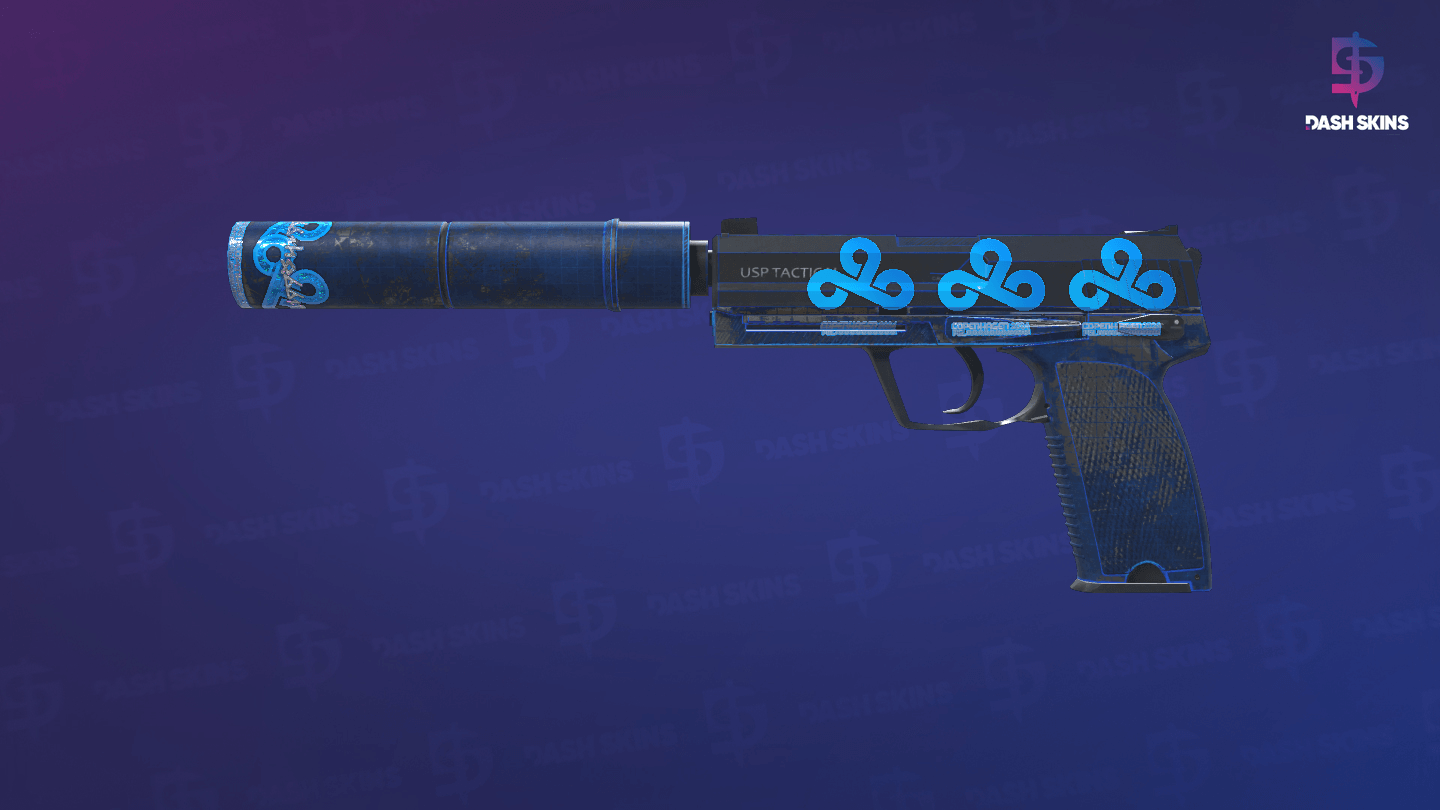 USP-S | Blueprint (Battle-Scarred) Screenshot Playside