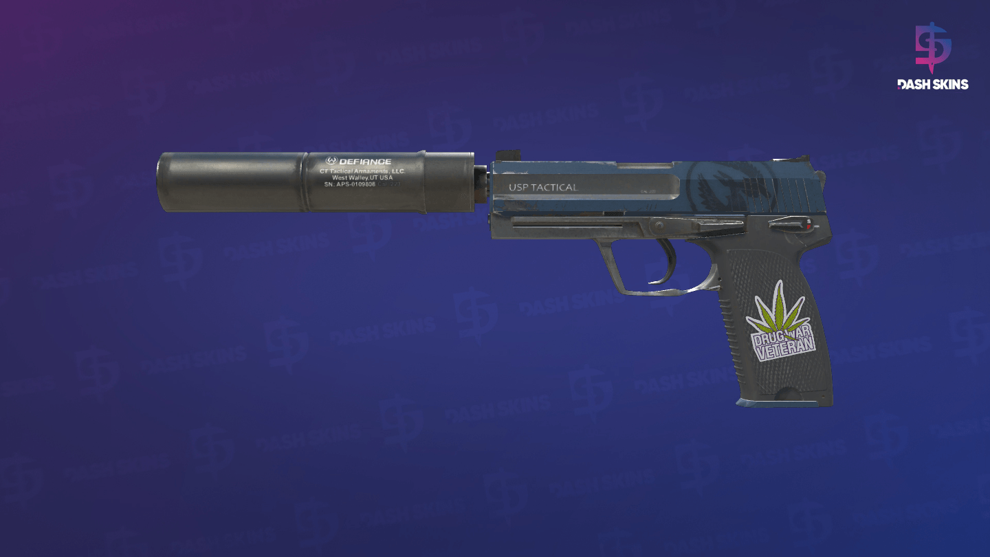 USP-S | Guardian (Field-Tested) Screenshot Playside