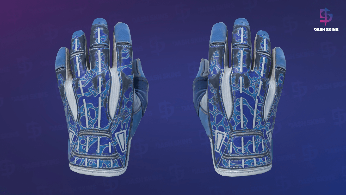 ★ Sport Gloves | Amphibious (Field-Tested) Screenshot Playside