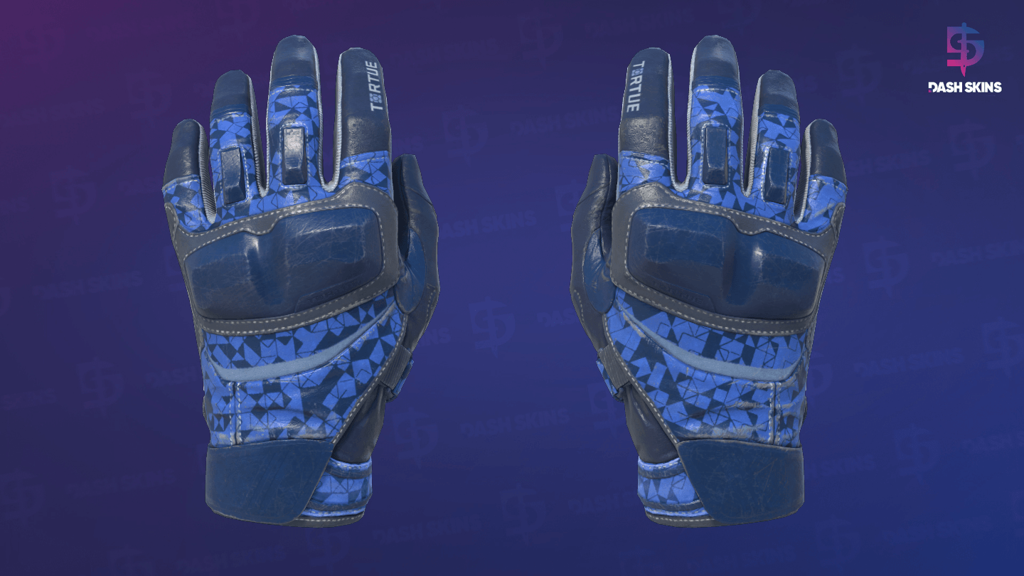 ★ Moto Gloves | Polygon (Field-Tested) Screenshot Playside