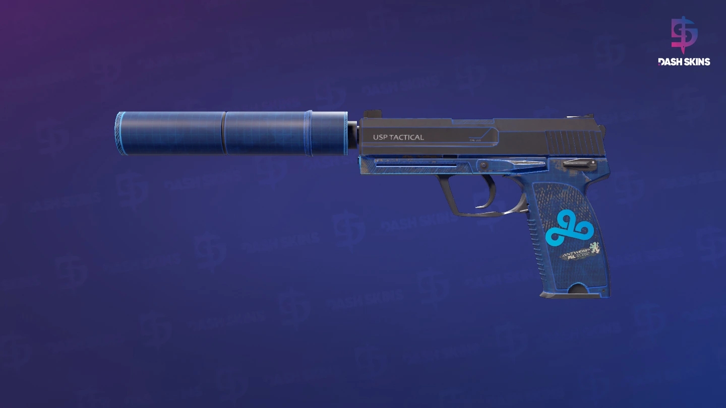 USP-S | Blueprint (Field-Tested) Screenshot Playside