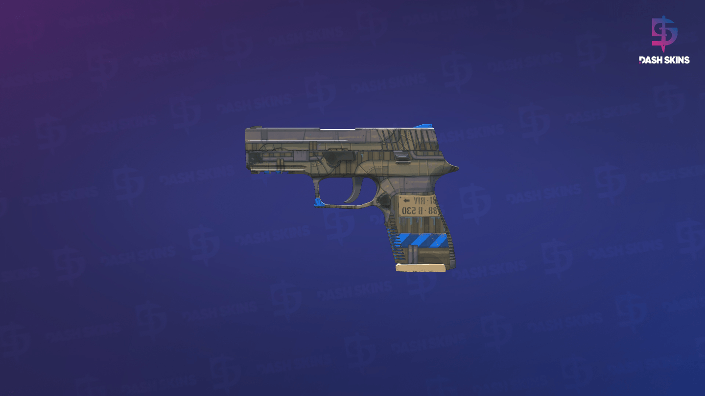 P250 | Exchanger (Factory New) Screenshot Playside