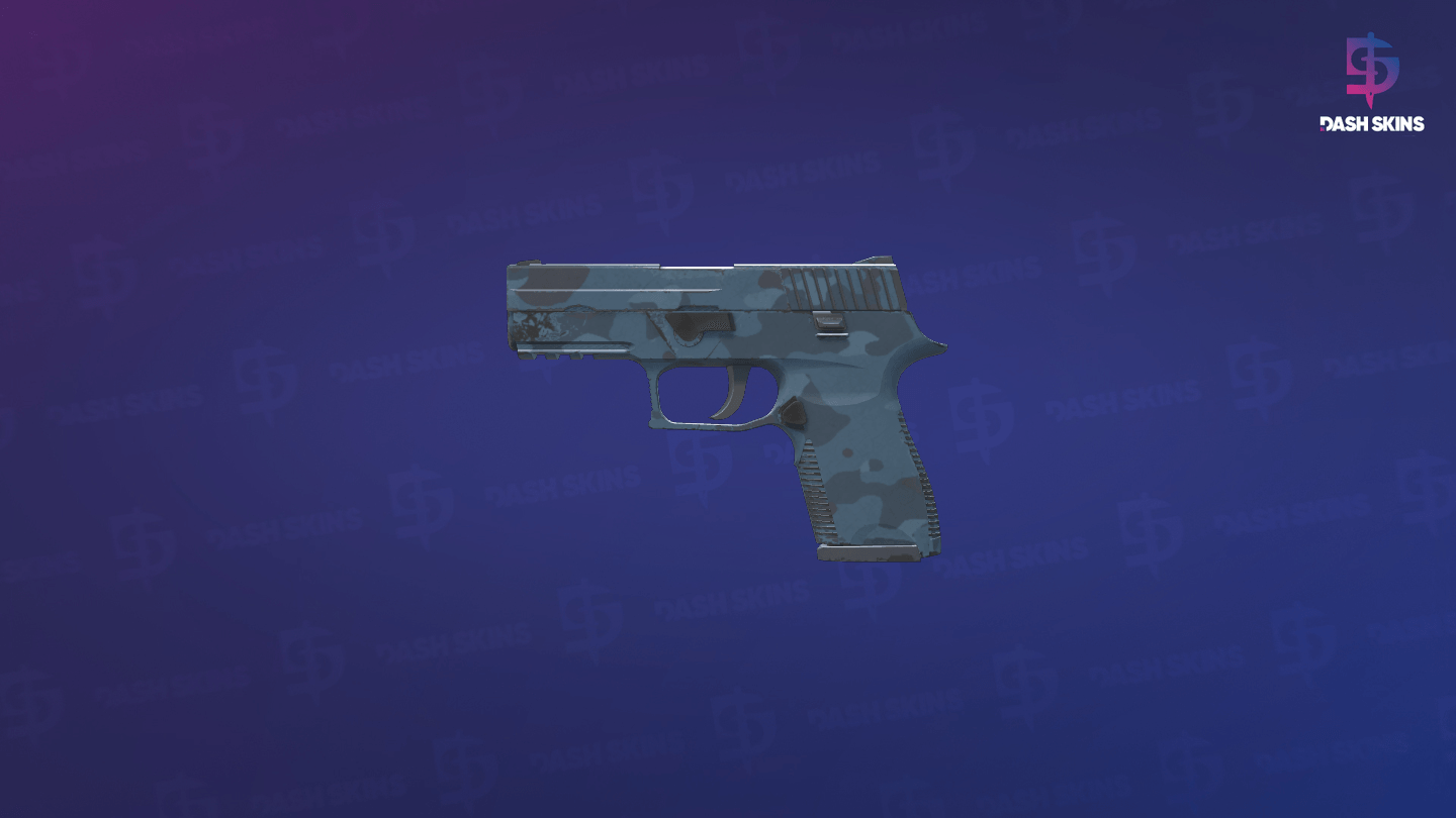 P250 | Forest Night (Field-Tested) Screenshot Playside