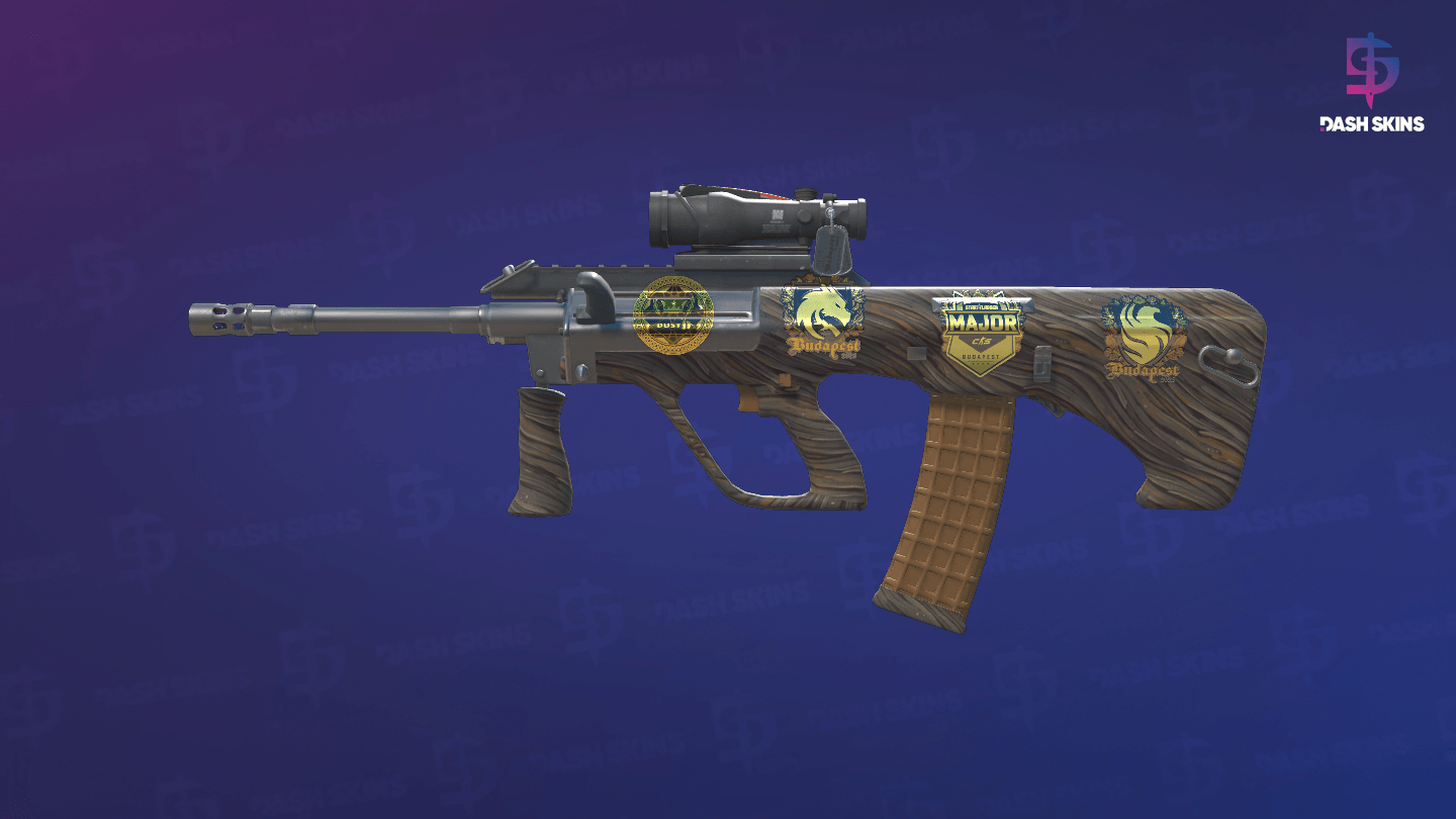 Souvenir AUG | Spalted Wood (Factory New) Screenshot Playside