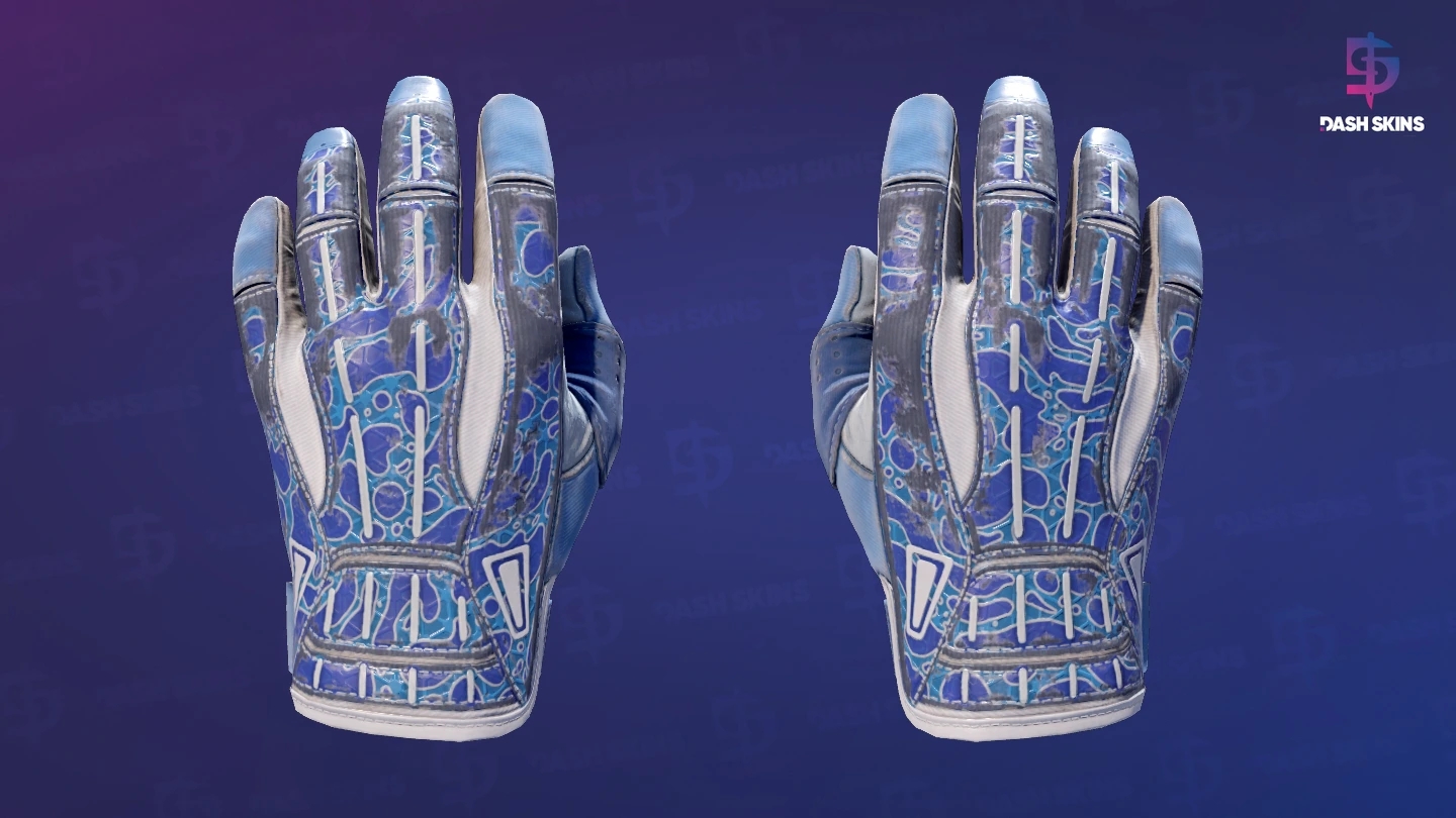 ★ Sport Gloves | Amphibious (Well-Worn) Screenshot Playside