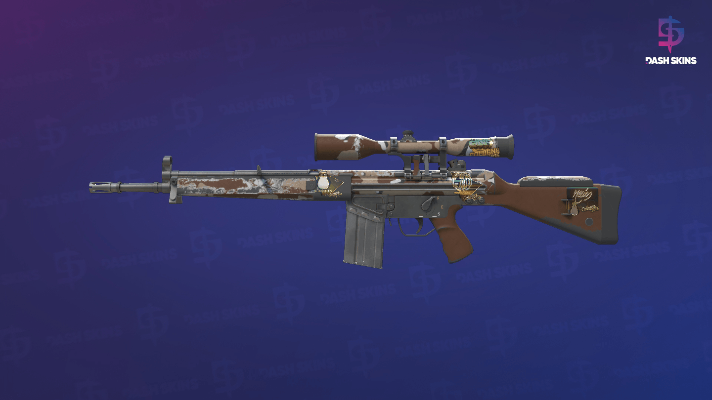 Souvenir G3SG1 | Desert Storm (Well-Worn) Screenshot Playside