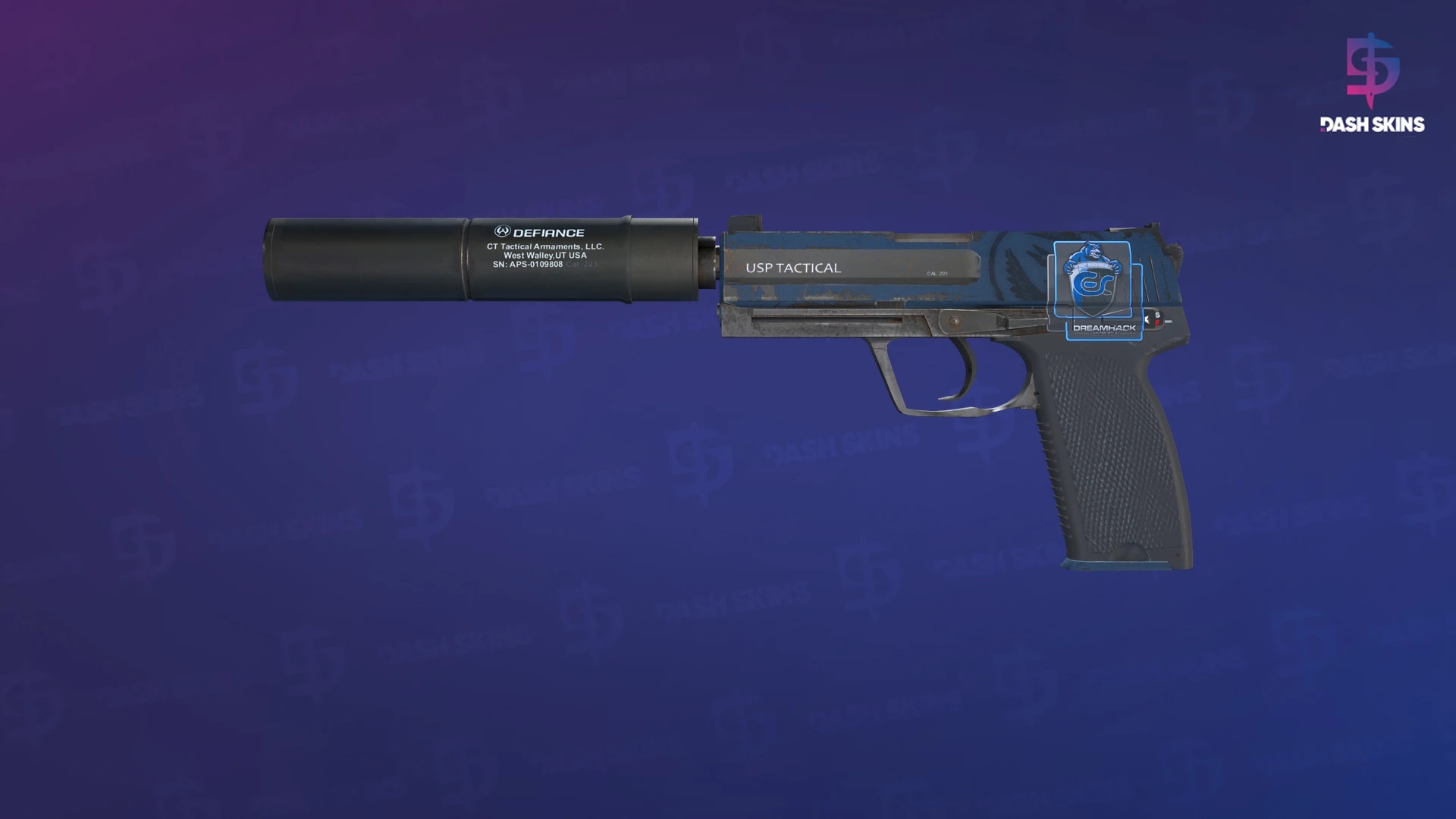 USP-S | Guardian (Field-Tested) Screenshot Playside