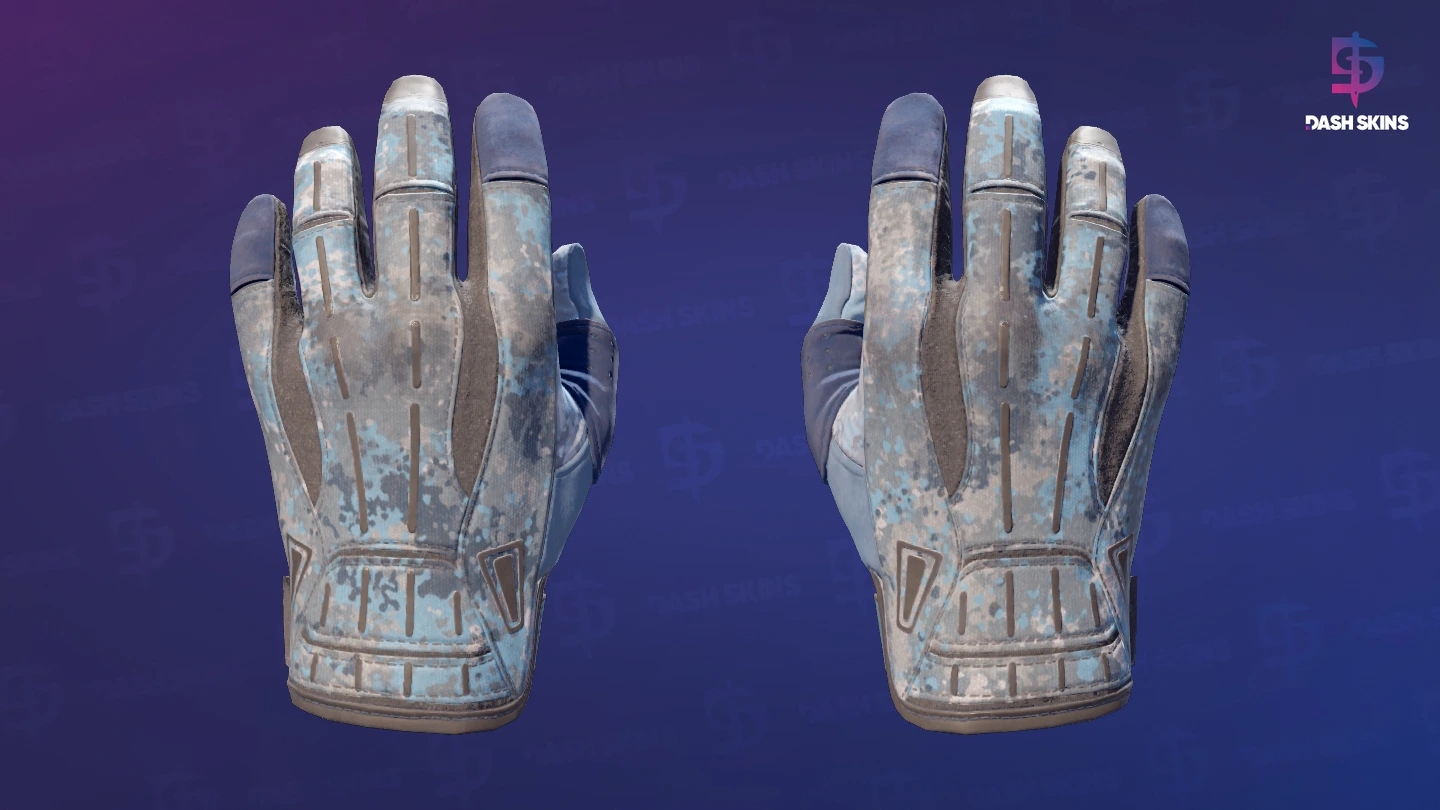 ★ Sport Gloves | Frosty (Field-Tested) Screenshot Playside