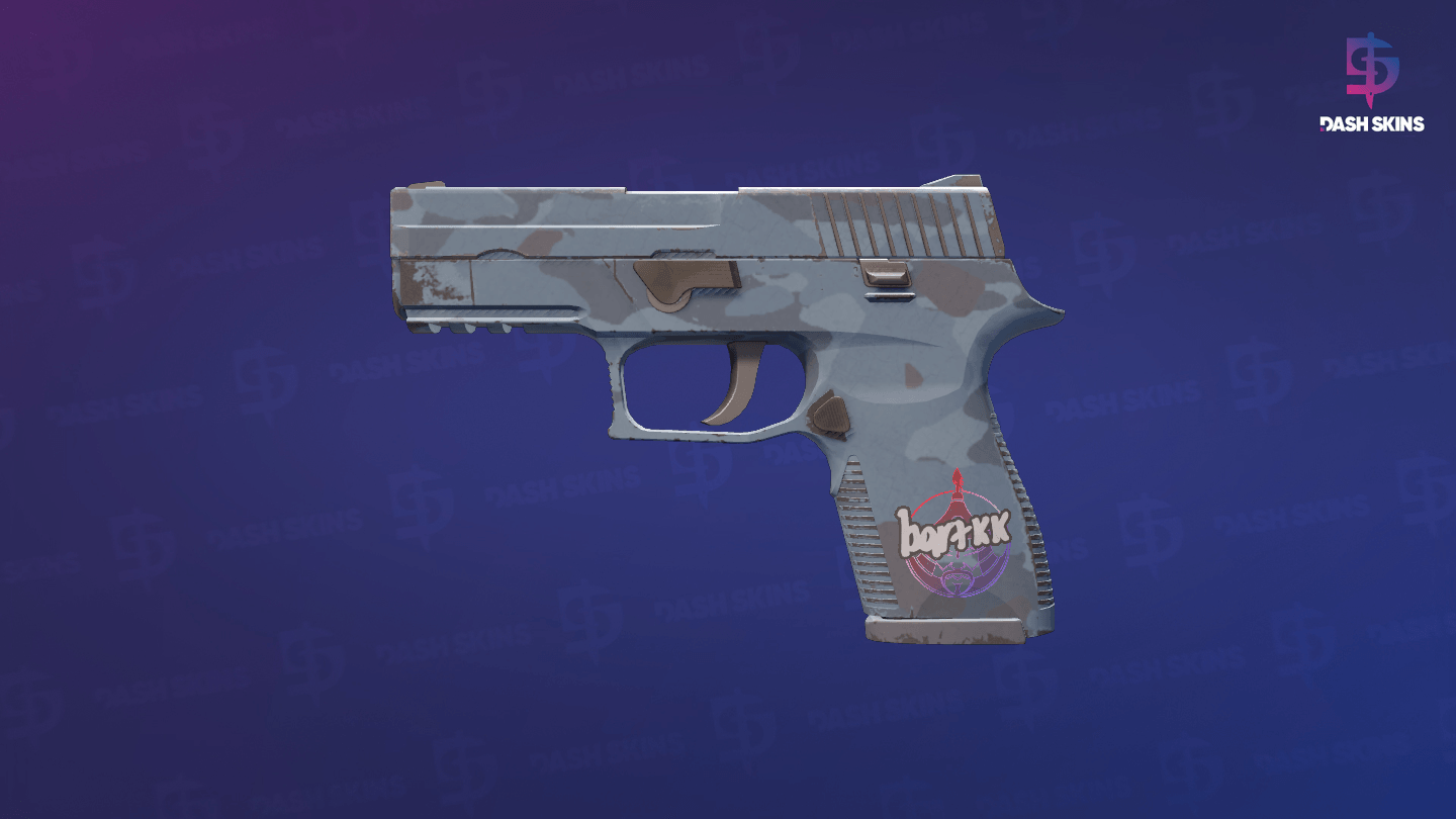 P250 | Forest Night (Minimal Wear) Screenshot Playside