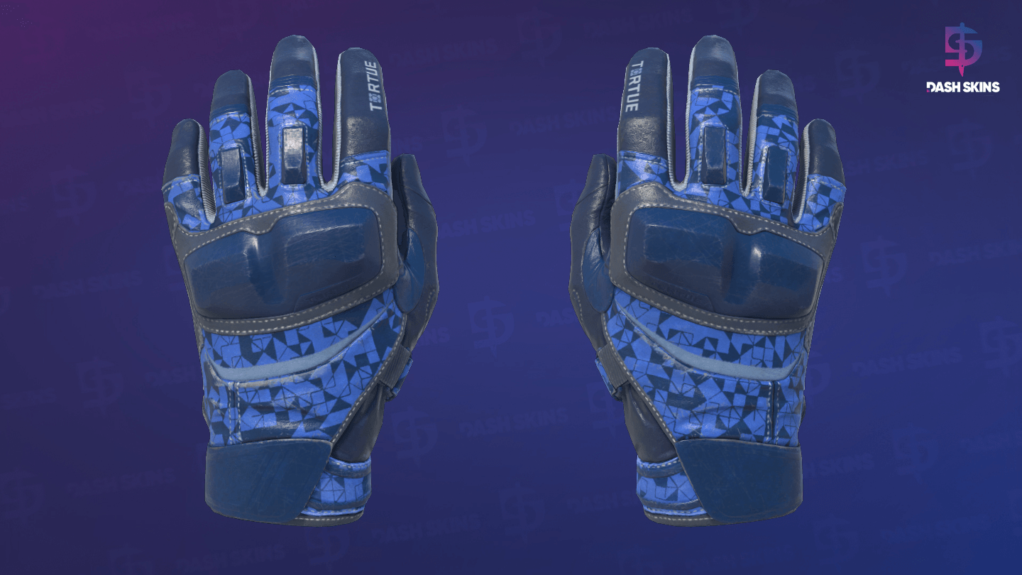 ★ Moto Gloves | Polygon (Field-Tested) Screenshot Playside