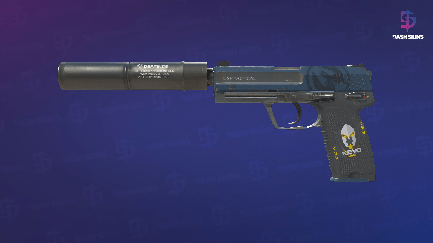 USP-S | Guardian (Field-Tested) Screenshot Playside