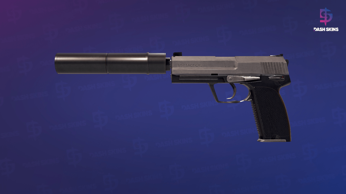 USP-S | Stainless (Field-Tested) Screenshot Playside