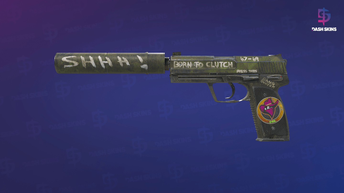 USP-S | Flashback (Field-Tested) Screenshot Playside