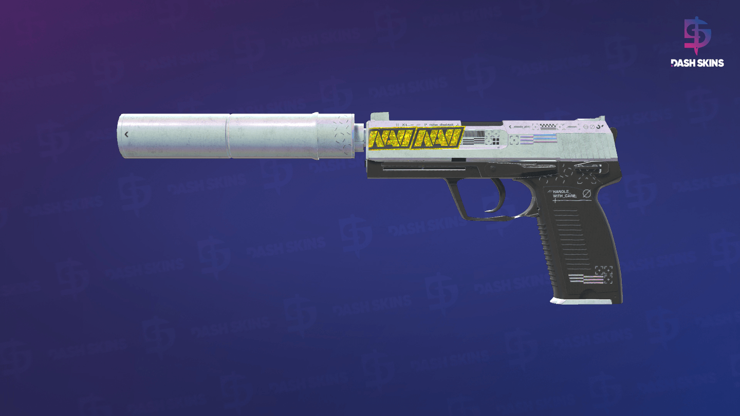 USP-S | Printstream (Battle-Scarred) Screenshot Playside