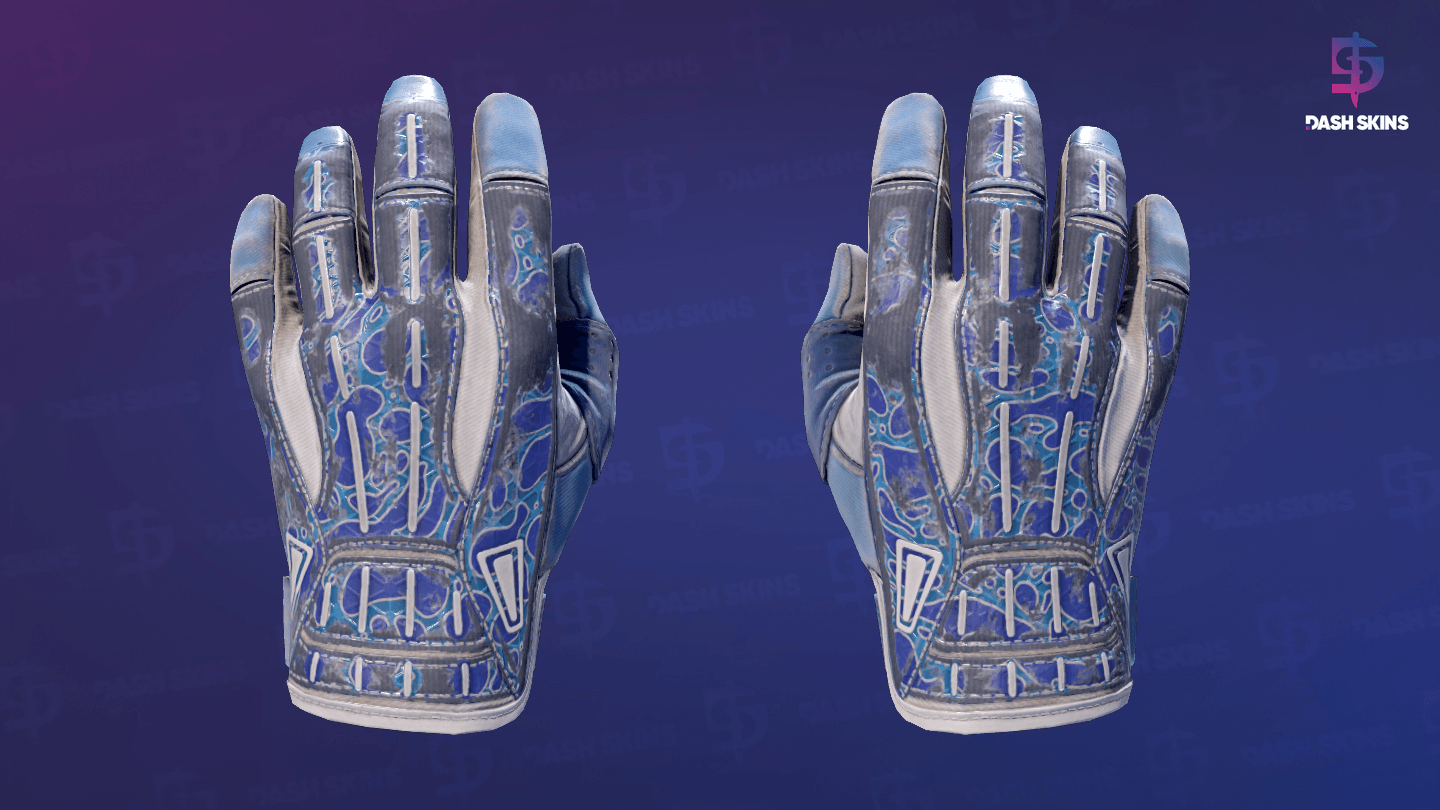 ★ Sport Gloves | Amphibious (Battle-Scarred) Screenshot Playside