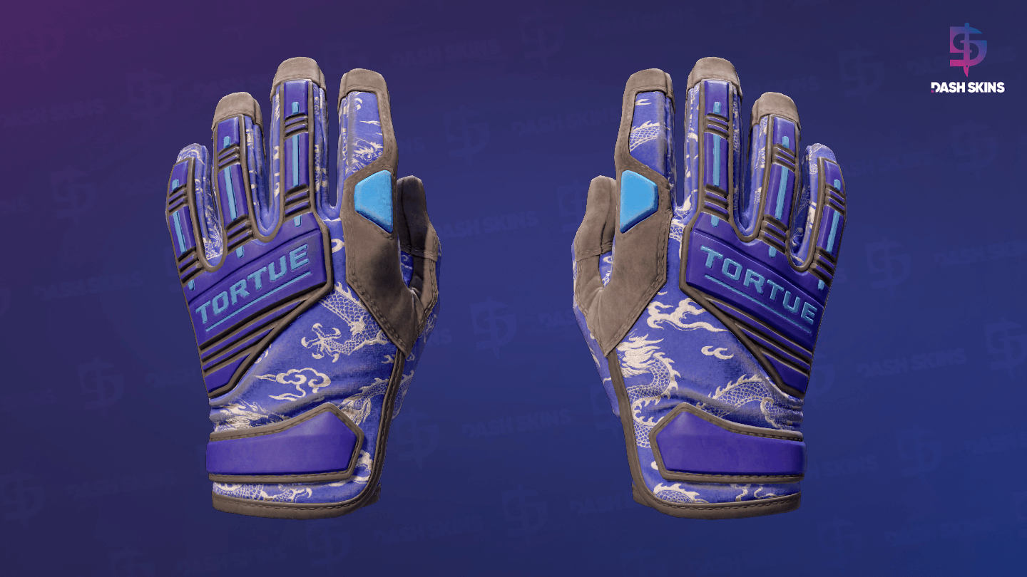 ★ Specialist Gloves | Cloud Chaser (Well-Worn) Screenshot Playside