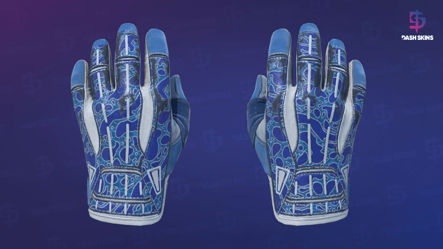 ★ Sport Gloves | Amphibious (Field-Tested) Screenshot Playside