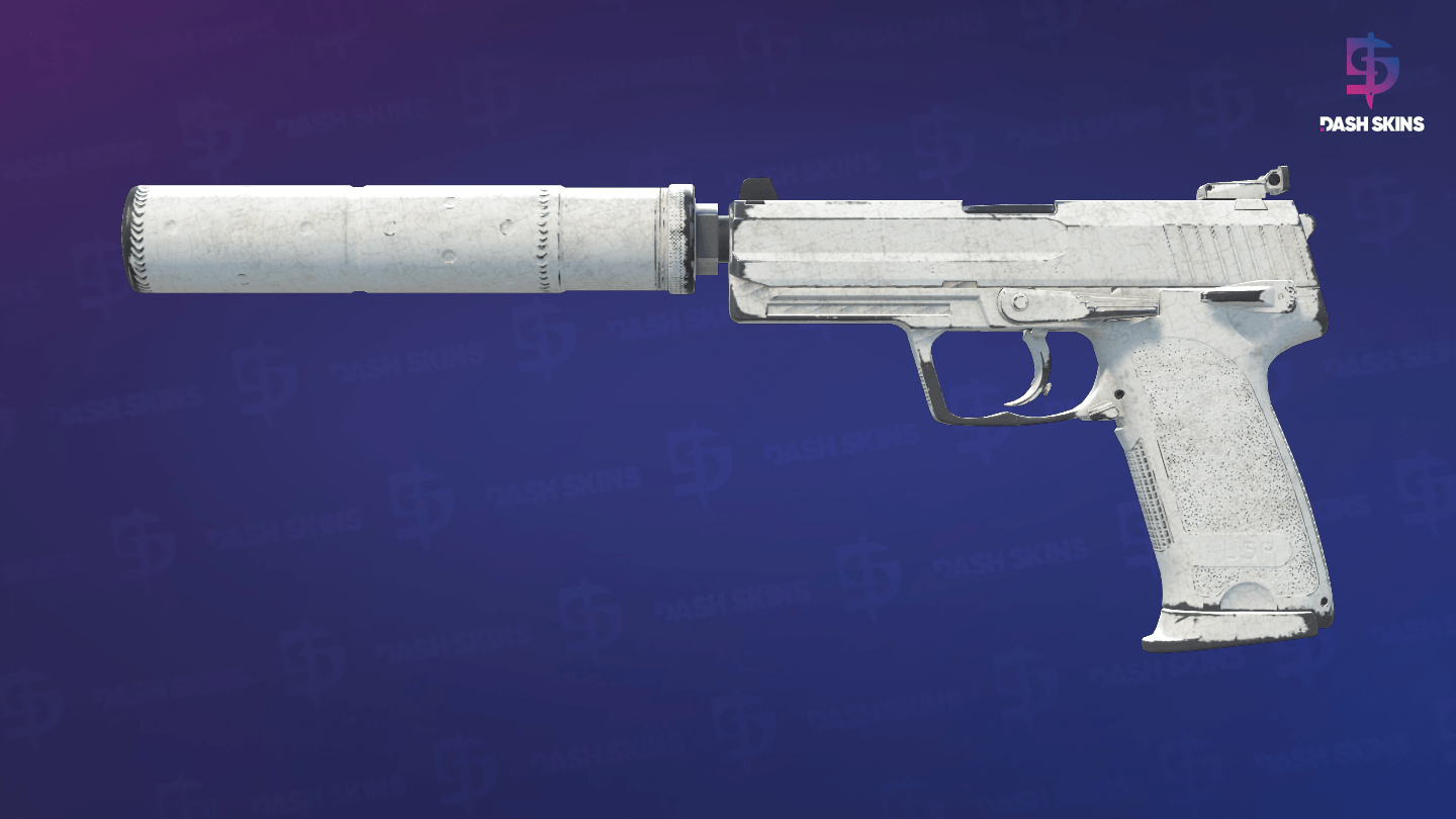 USP-S | Whiteout (Well-Worn) Screenshot Playside