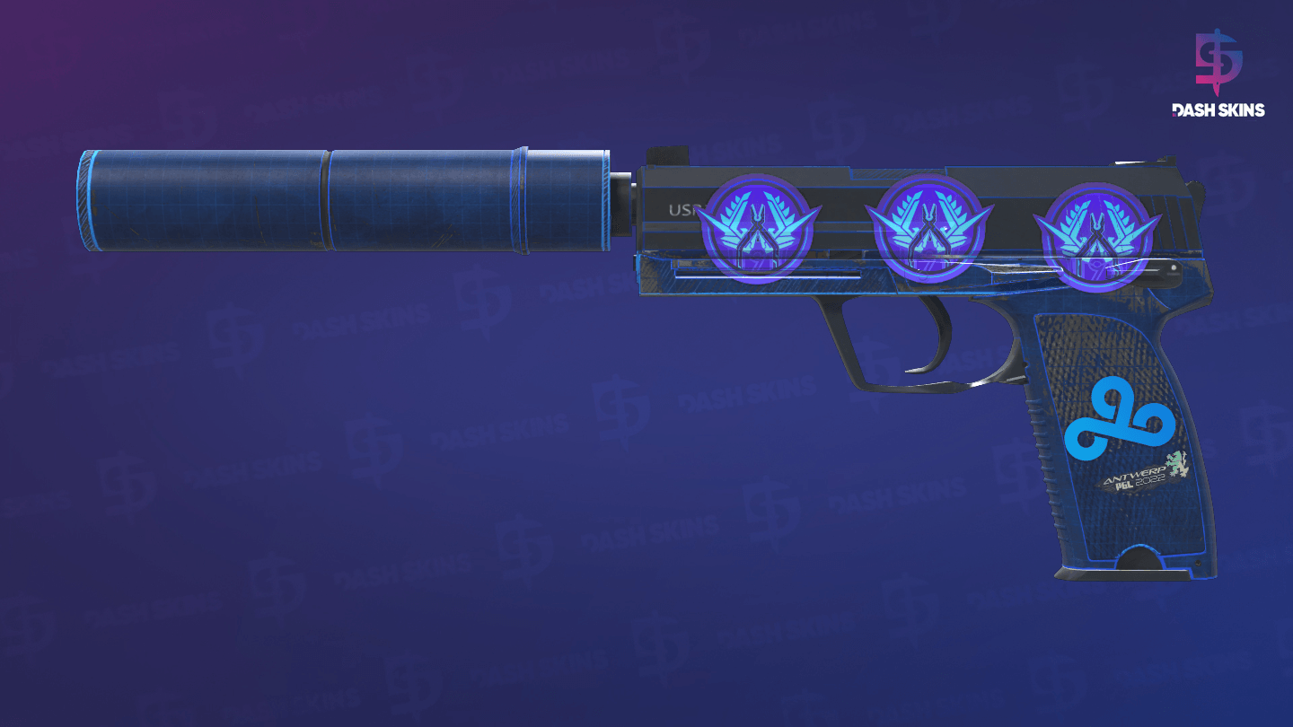 USP-S | Blueprint (Battle-Scarred) Screenshot Playside