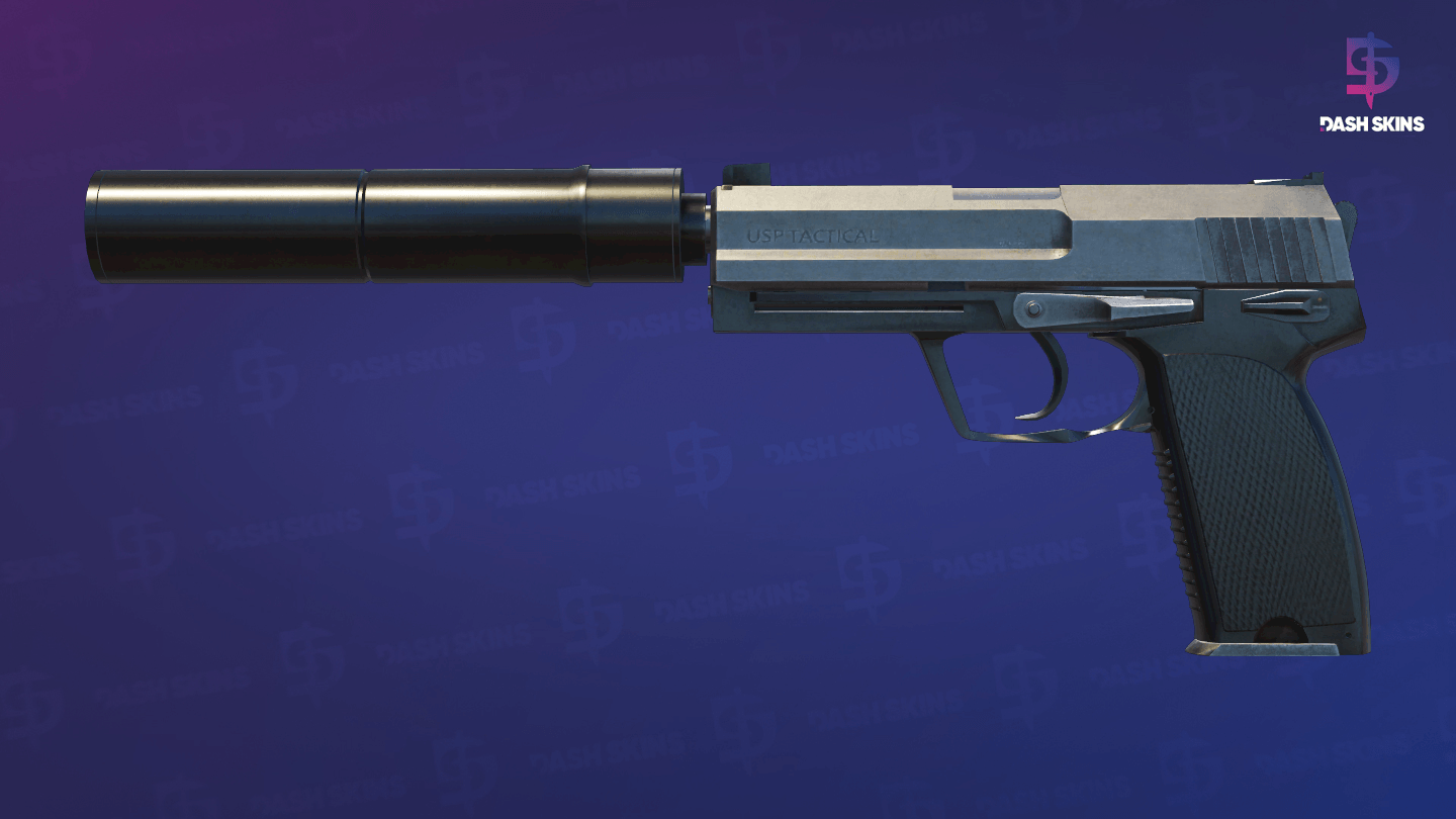 USP-S | Stainless (Field-Tested) Screenshot Playside