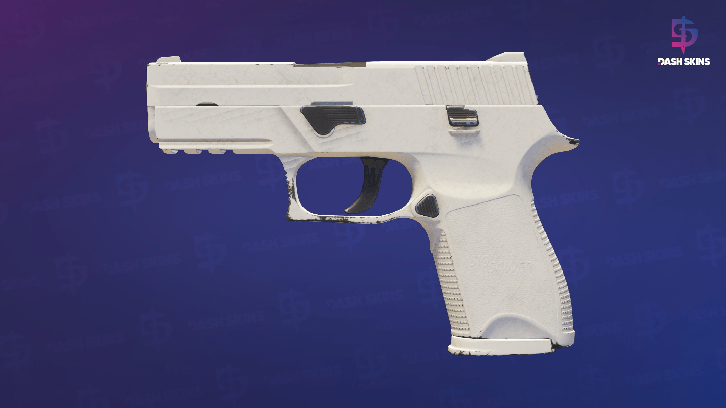 P250 | Whiteout (Field-Tested) Screenshot Playside