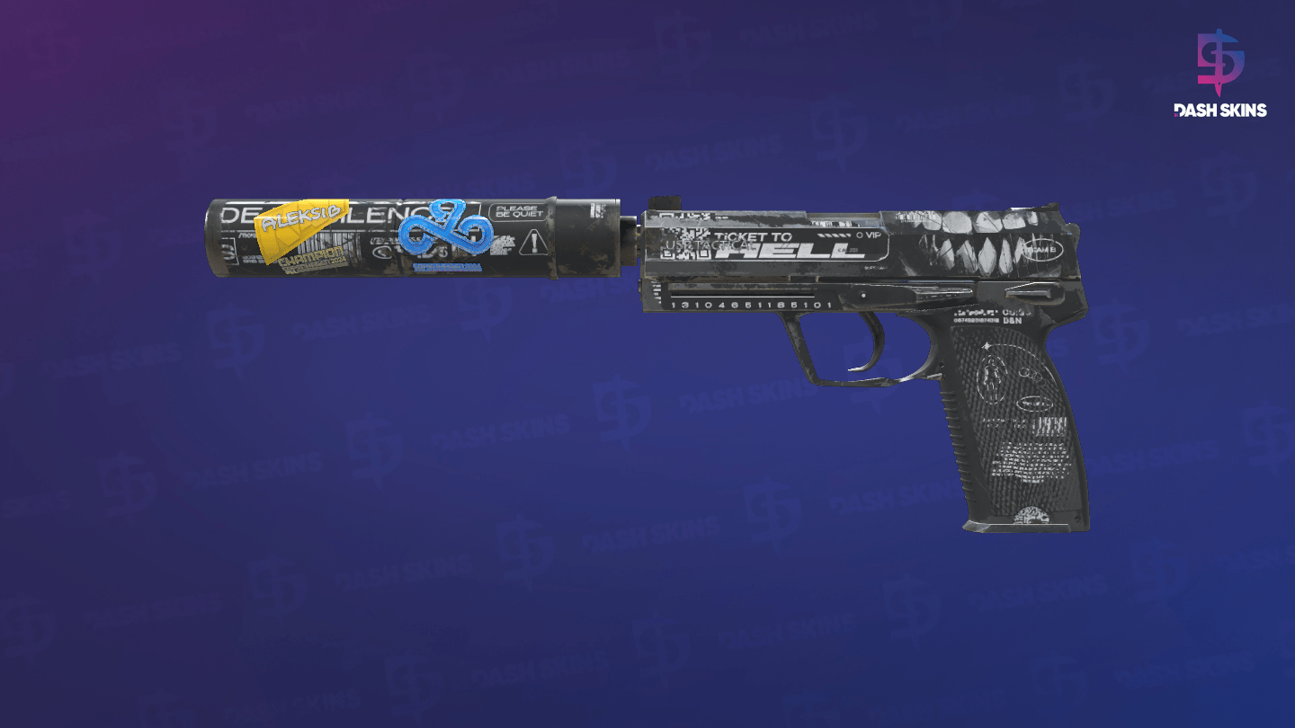 USP-S | Ticket to Hell (Well-Worn) Screenshot Playside