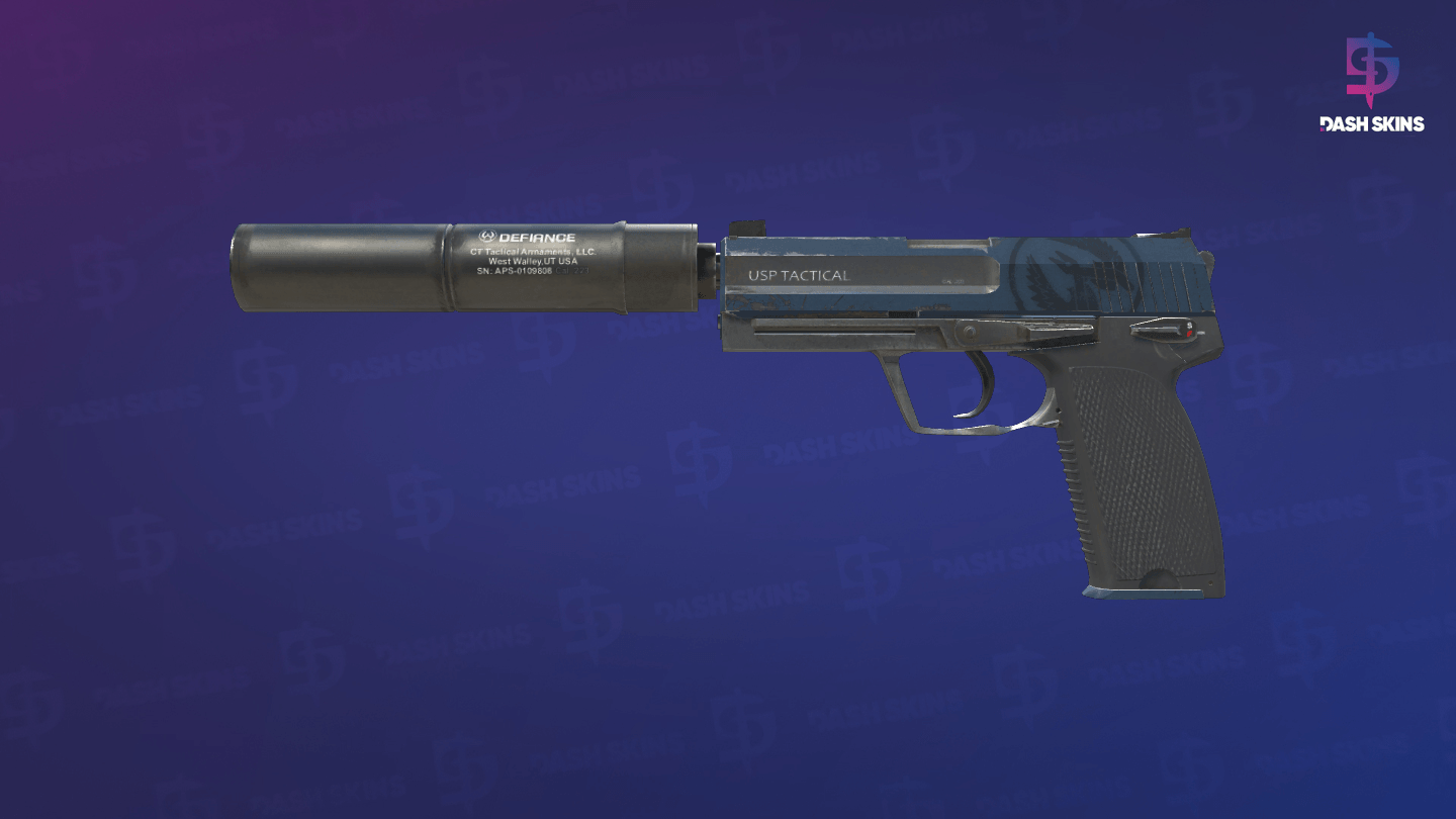 USP-S | Guardian (Field-Tested) Screenshot Playside
