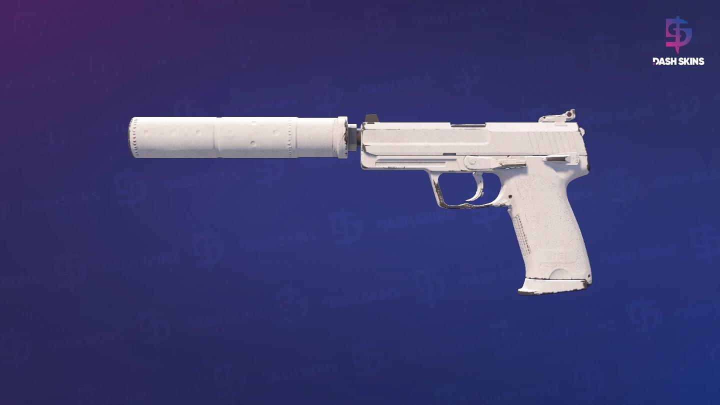 USP-S | Whiteout (Field-Tested) Screenshot Playside