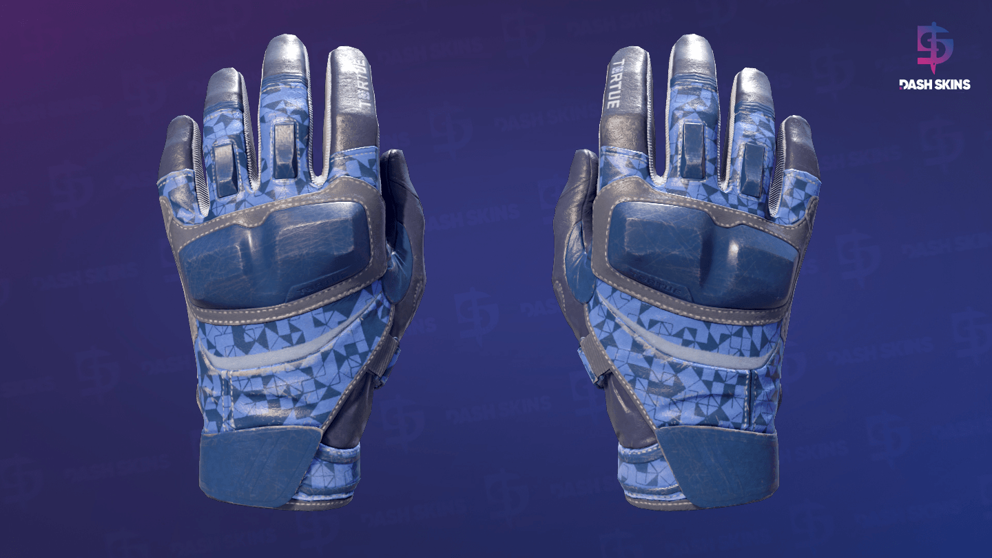 ★ Moto Gloves | Polygon (Field-Tested) Screenshot Playside