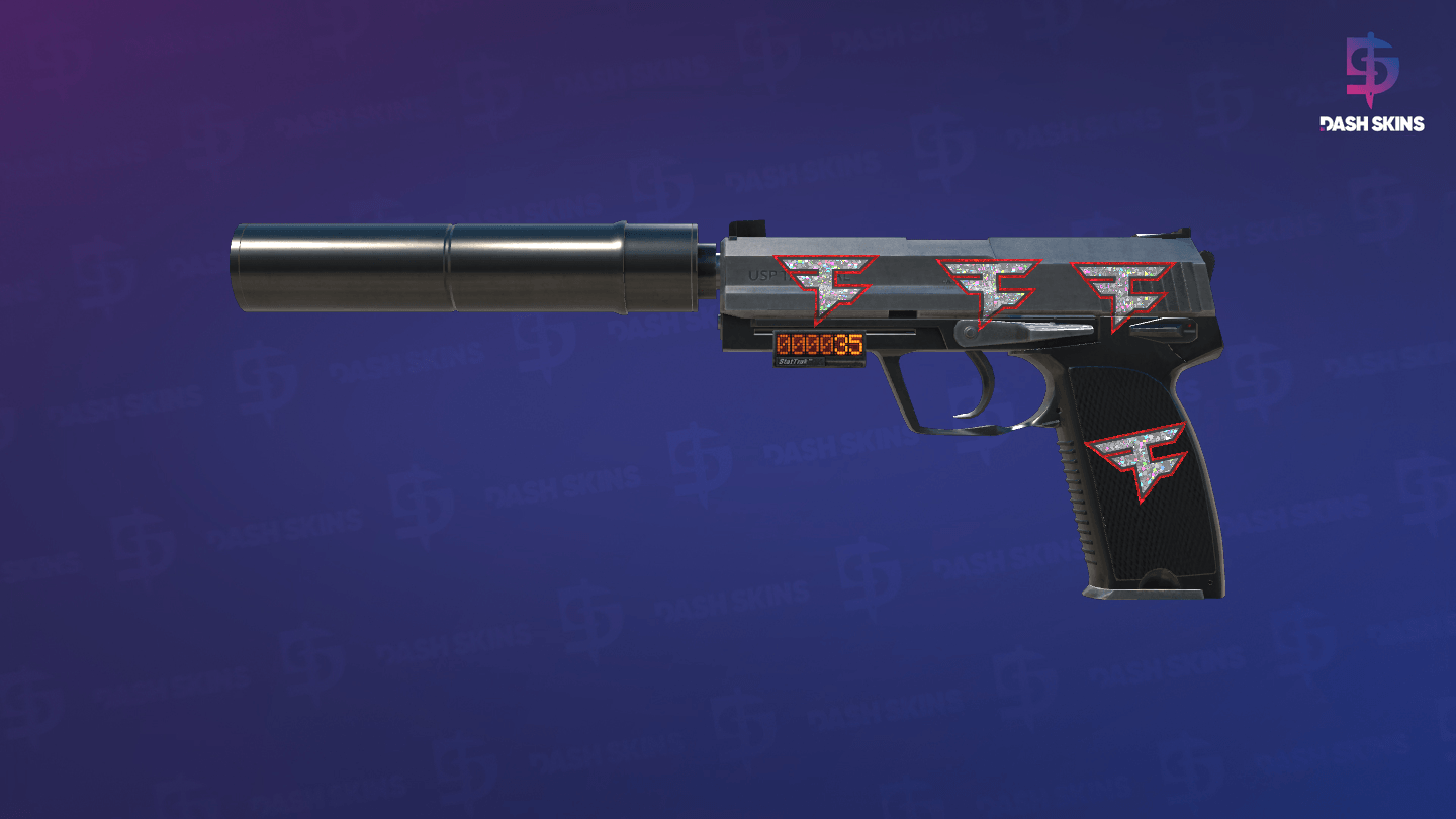 StatTrak™ USP-S | Stainless (Field-Tested) Screenshot Playside