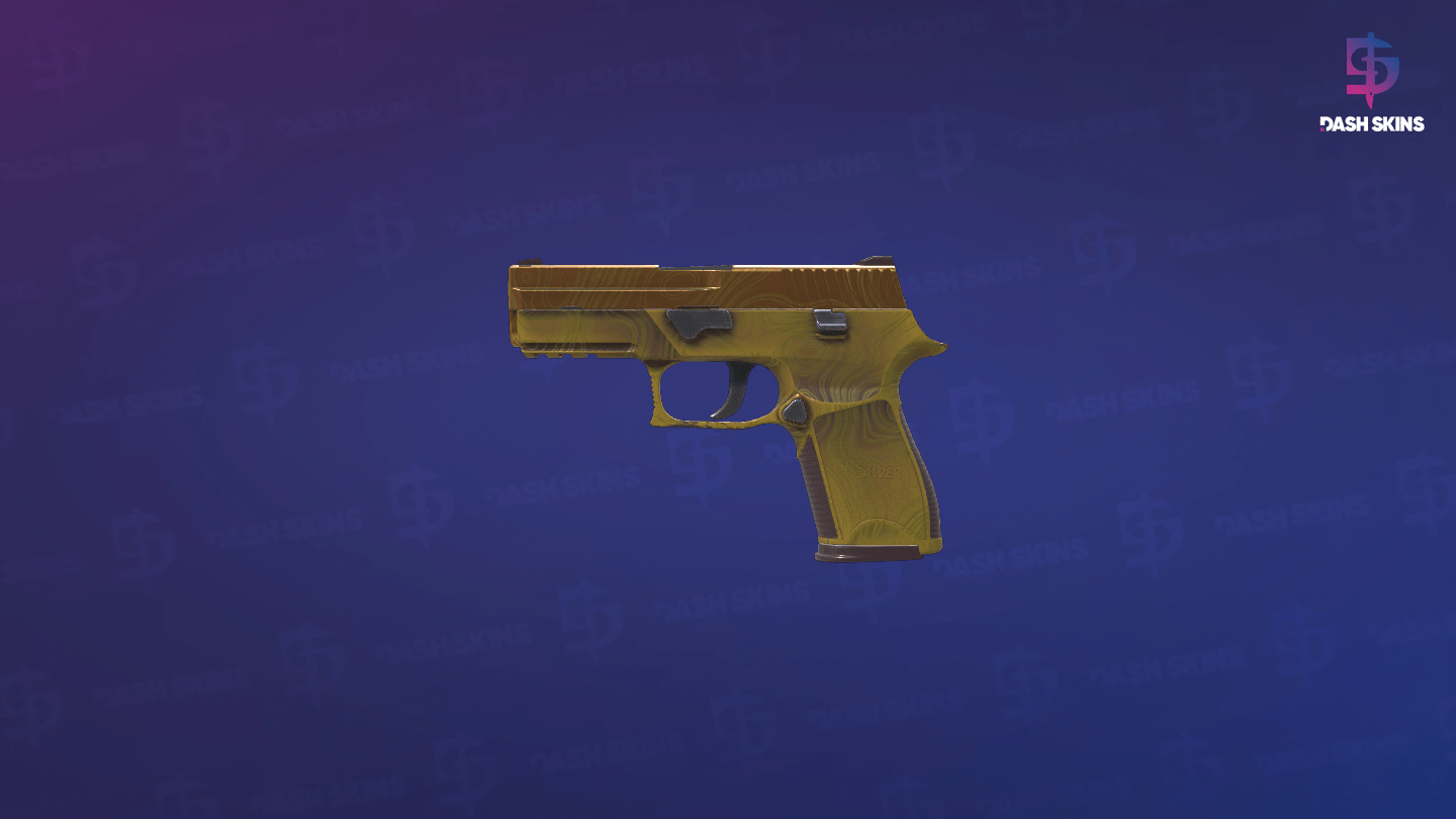 P250 | Sedimentary (Factory New) Screenshot Playside