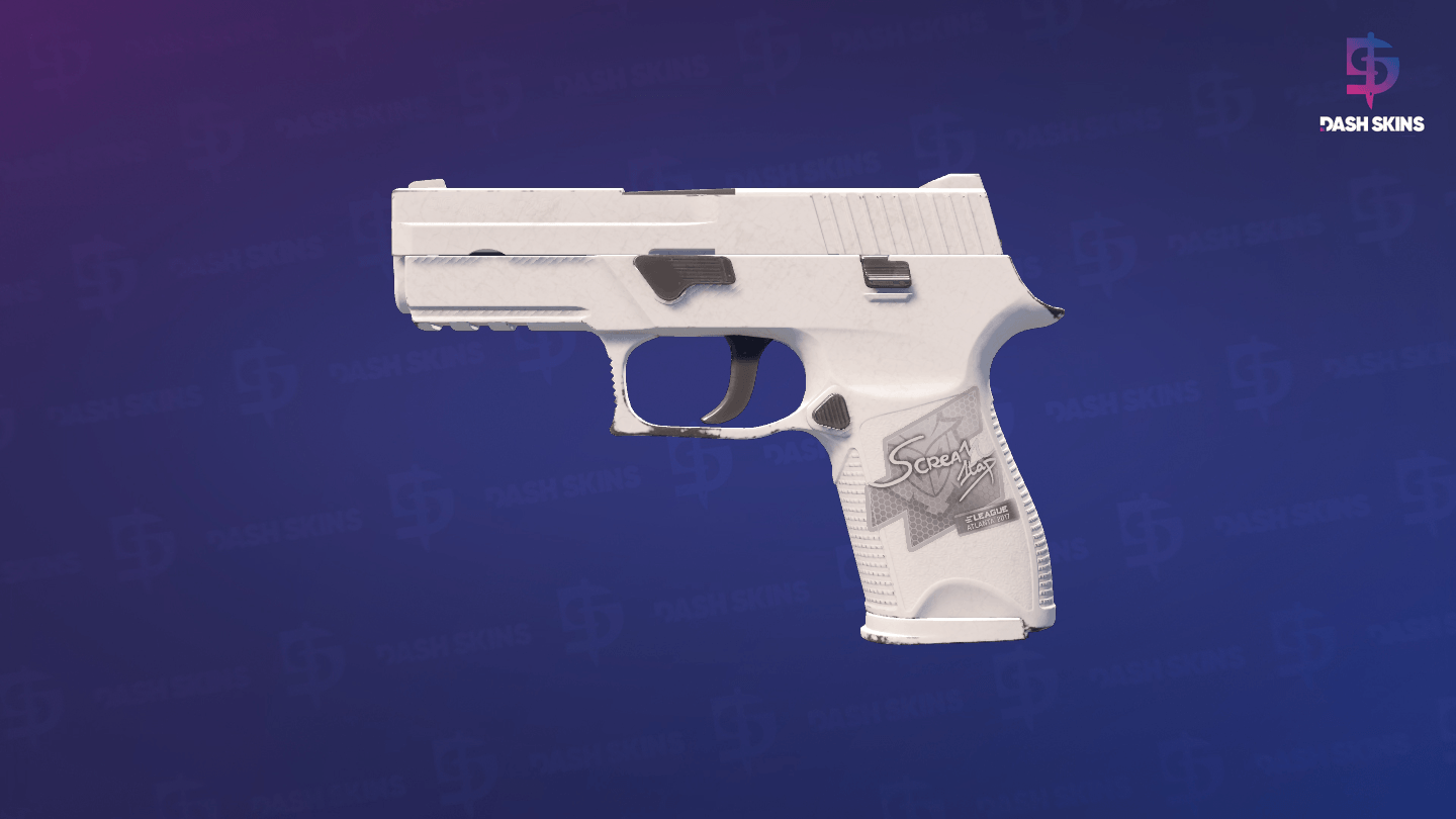 P250 | Whiteout (Field-Tested) Screenshot Playside